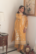 Detailed neckline and cuffs of embroidered semi formal