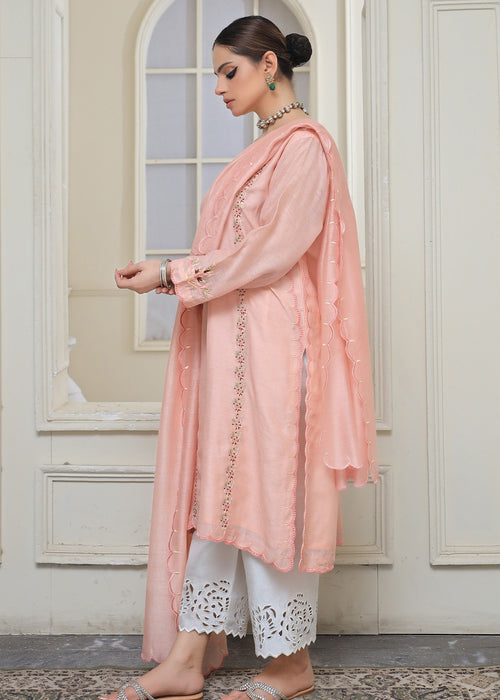 Close-up of adda work on neckline and sleeves of semi formal dress