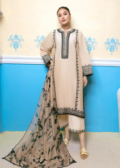 Beige embroidered semi formals front full view