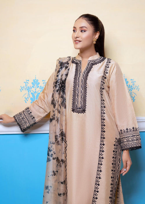 Elegant embroidered semi formals raw silk outfit

