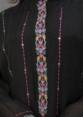 Embroidered semi formals with cutwork izzar pants

