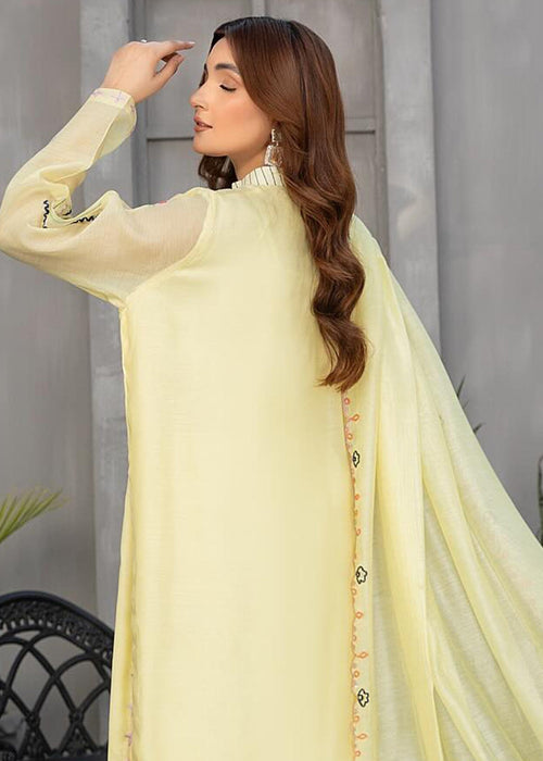 Embroidered semi formals with off-white izzar pants

