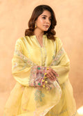 Full outfit of Roshni embroidered semi formal set

