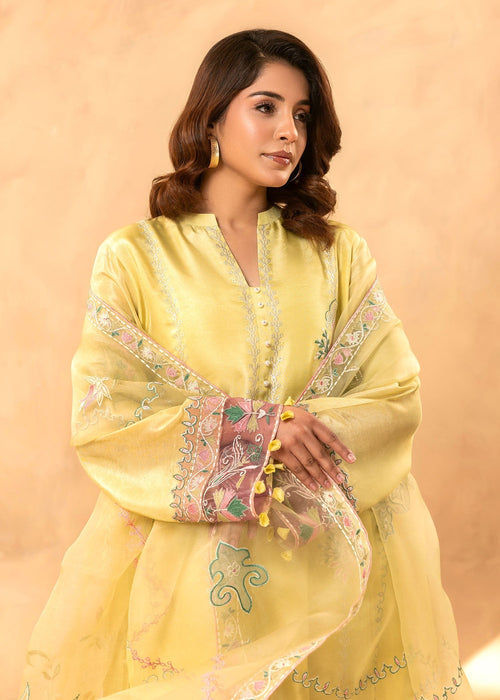 Full outfit of Roshni embroidered semi formal set

