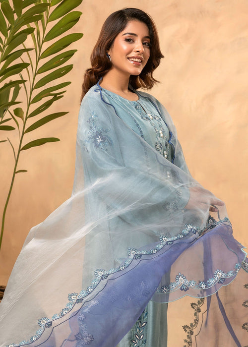 Full view of Maya embroidered semi formal outfit

