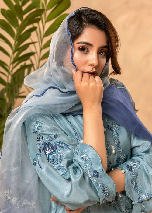 Embroidered lines on Maya dupatta daman

