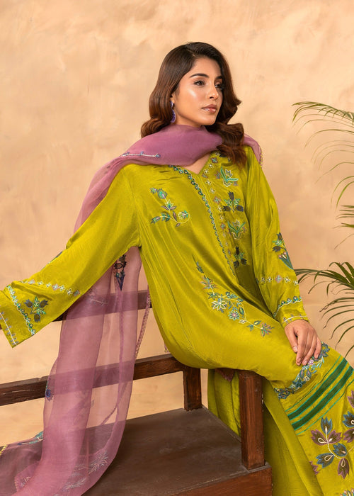 Organza dupatta with embroidery details

